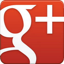 googleplus 238x238