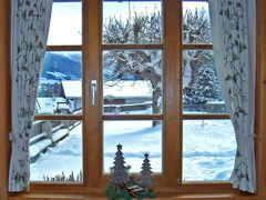 ausblick aus dem fenster